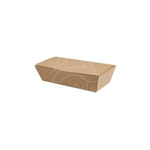 CAJA BISAGRA BIO 250/220 x125/95x60MM  150 UNID   