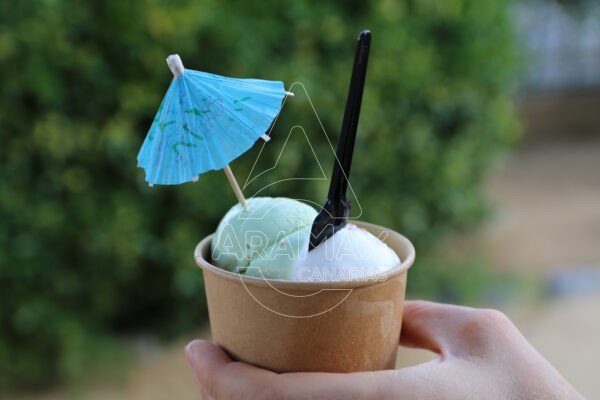 TARRINAS DE HELADO KRAFT