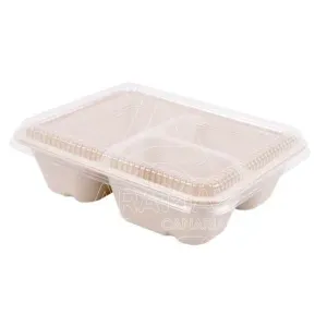 bandeja 3 compatimentos con tapa pet bagazo compostable eco