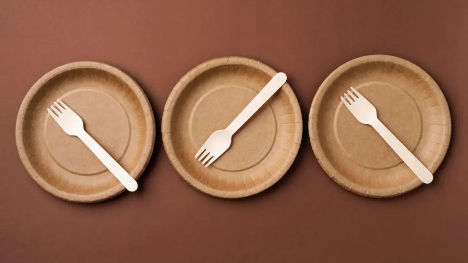 platos cartón tienda