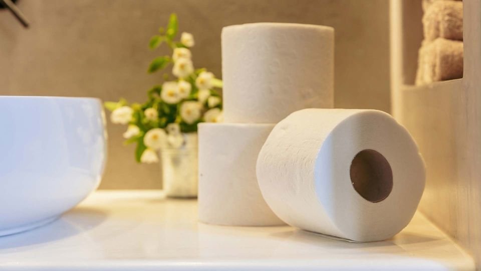 aramax canarias higienicos domesticos