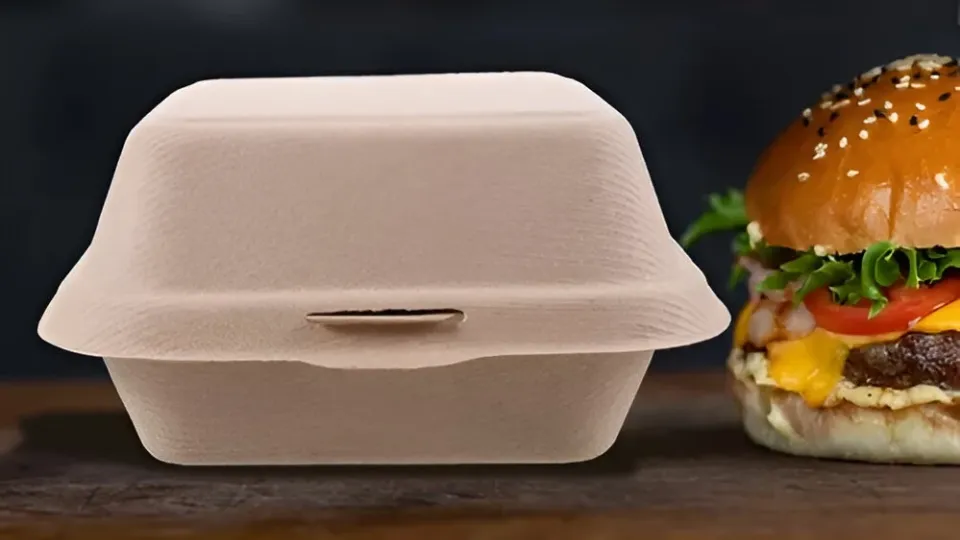 envase hamburguesa plástico