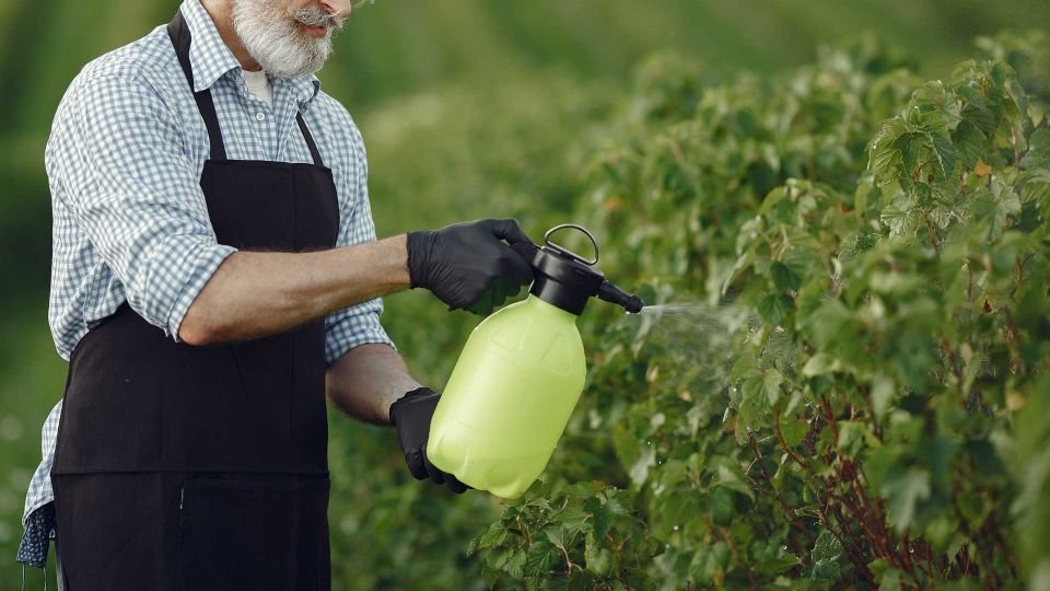 aramax canarias insecticidas